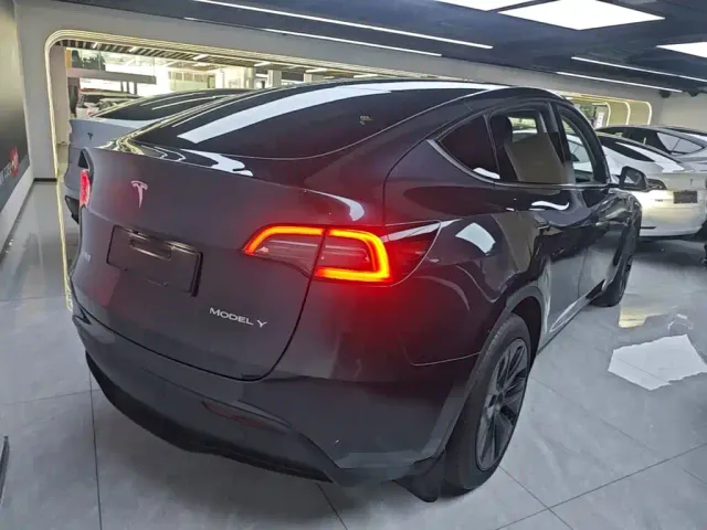 Tesla Model Y — Фото автомобиля 6