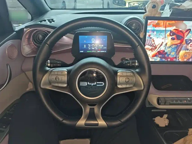 BYD Dolphin — Фото автомобиля 10
