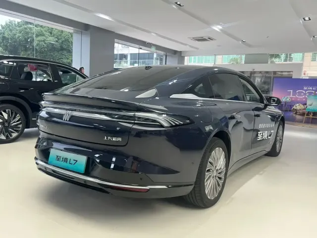 Buick Electra L7 — Фото автомобиля 5