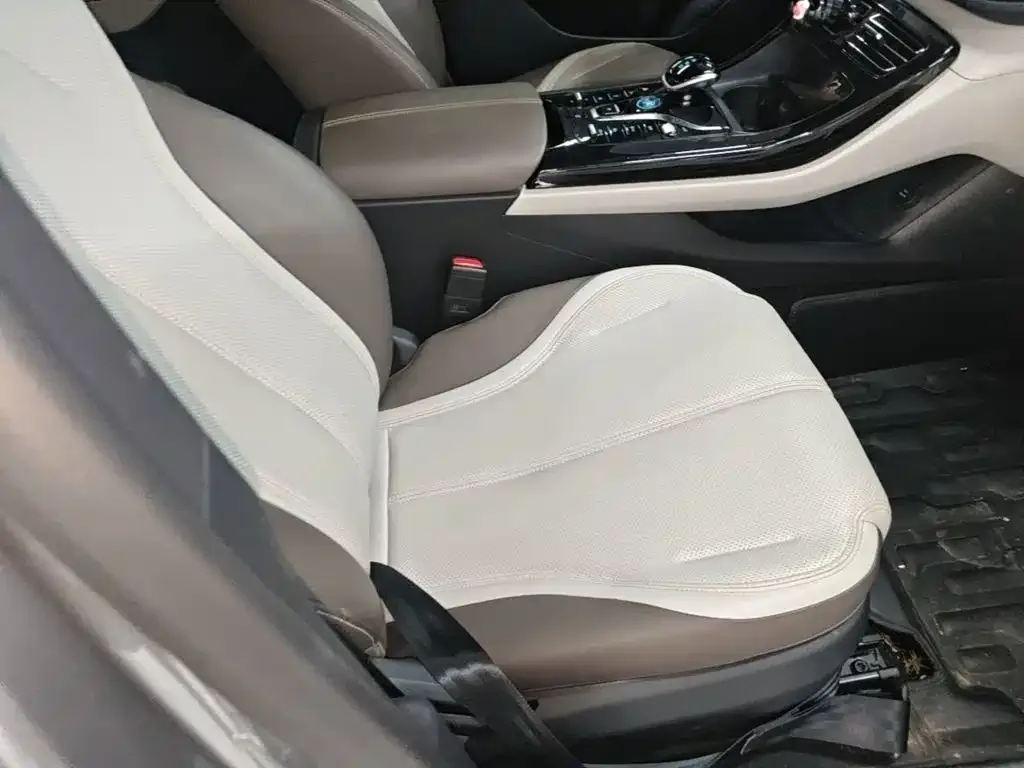 BYD Qin PLUS 2023 Champion Edition DM-i 55KM Leading — Фото автомобиля 19