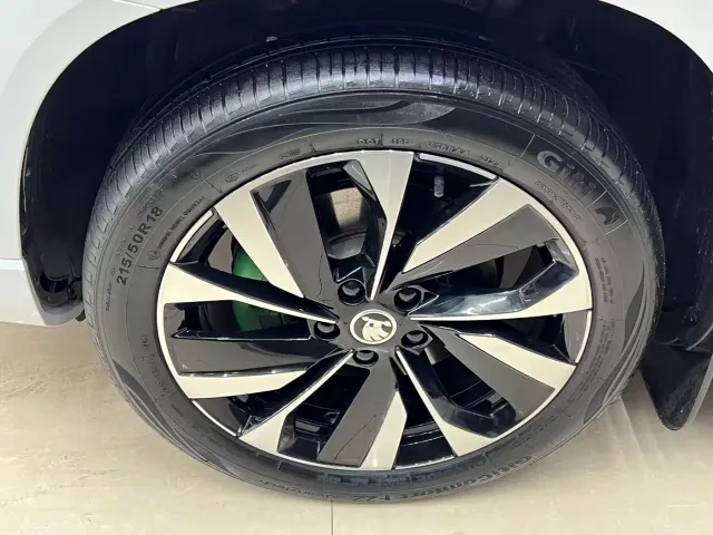 Skoda Karoq — Фото автомобиля 19