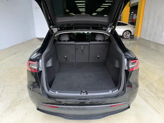 Tesla Model Y — Фото автомобиля 21