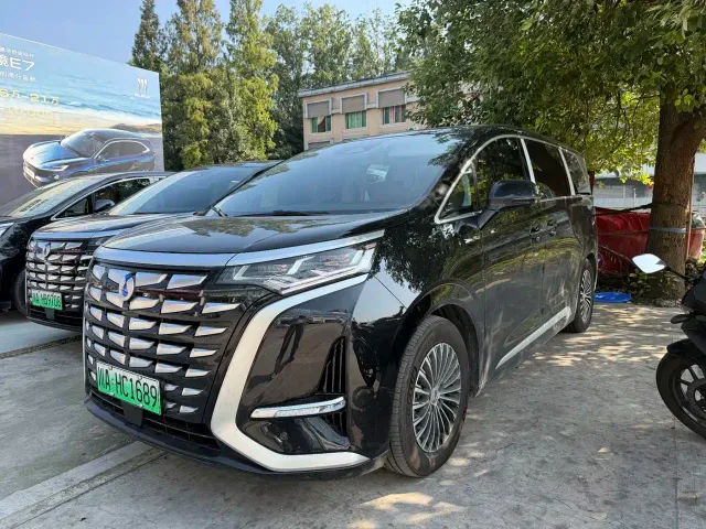 Фотография автомобиля — Denza D9