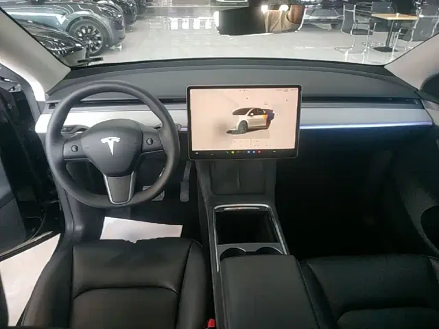 Tesla Model Y — Фото автомобиля 9
