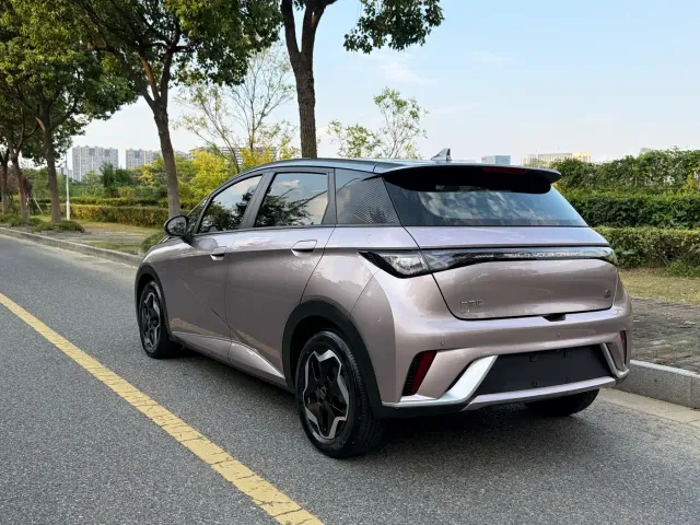 BYD Dolphin — Фото автомобиля 7