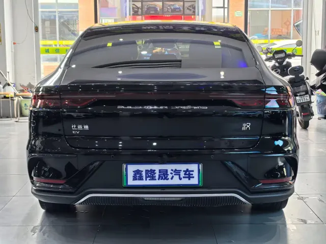 BYD Han — Фото автомобиля 16