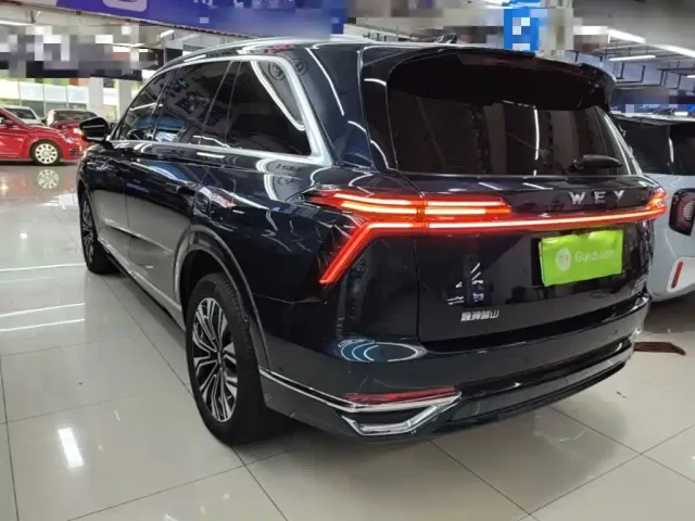 Wey Lanshan — Фото автомобиля 4