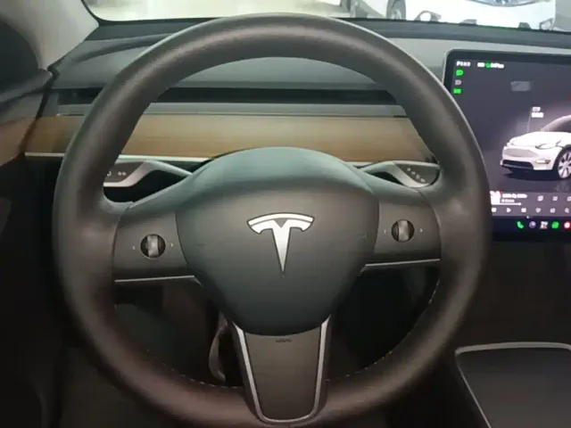 Tesla Model Y — Фото автомобиля 10