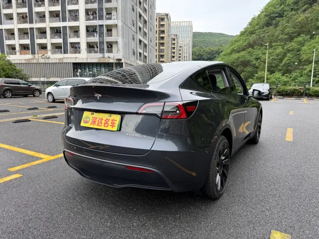 Tesla Model Y — Фото автомобиля 19