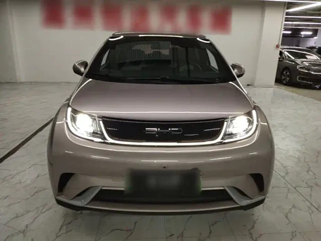 BYD Dolphin — Фото автомобиля 2