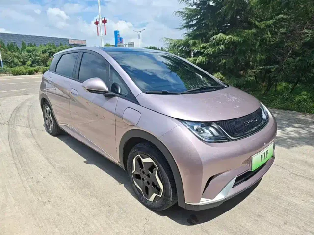 BYD Dolphin 2025 420km Freedom Edition — Фото автомобиля 22