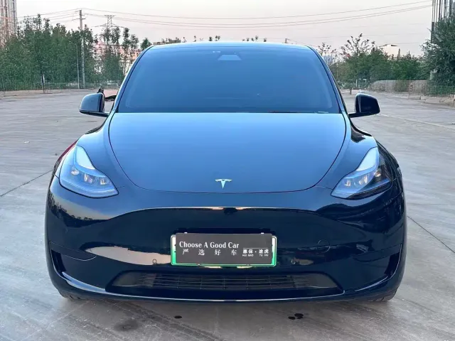 Tesla Model Y — Фото автомобиля 2