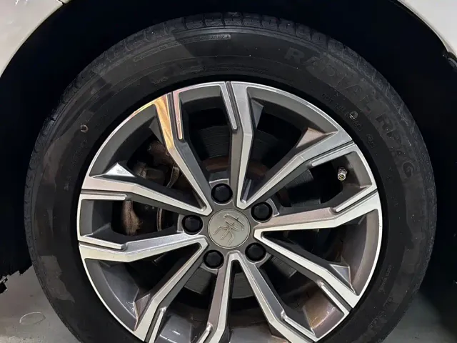 BYD Song MAX — Фото автомобиля 11