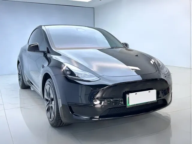 Tesla Model Y — Фото автомобиля 3