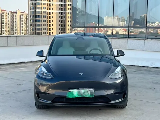 Tesla Model Y — Фото автомобиля 2