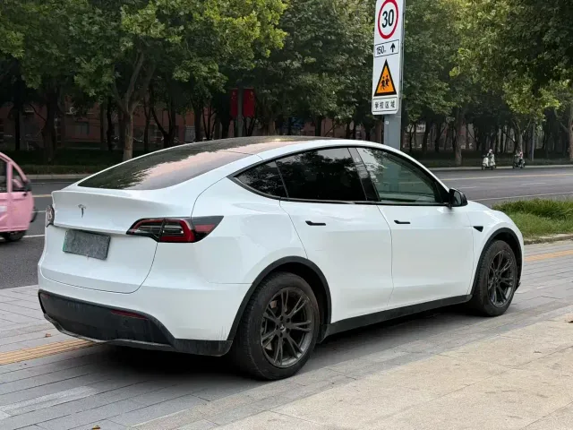 Tesla Model Y — Фото автомобиля 9