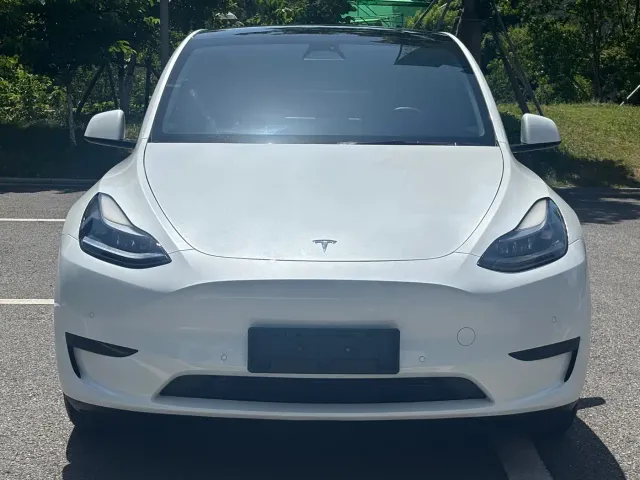 Tesla Model Y — Фото автомобиля 2