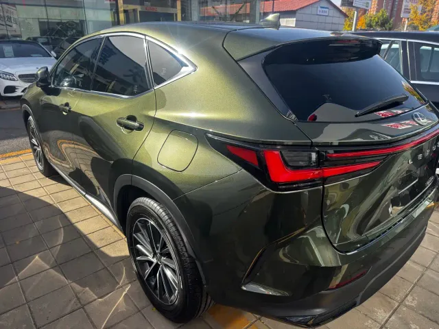 Lexus NX — Фото автомобиля 18