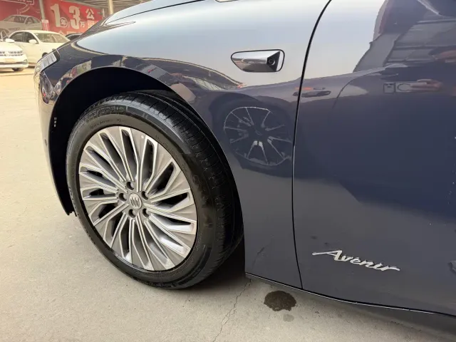 Buick Electra L7 — Фото автомобиля 4