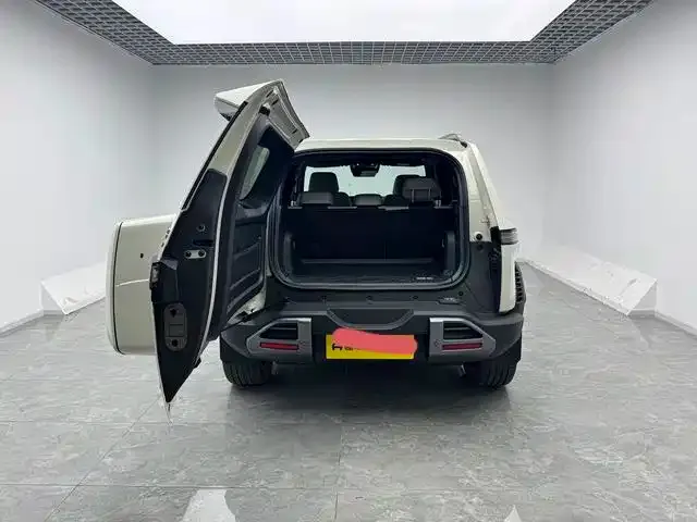 BYD FangChengBao Titanium 3 — Фото автомобиля 20