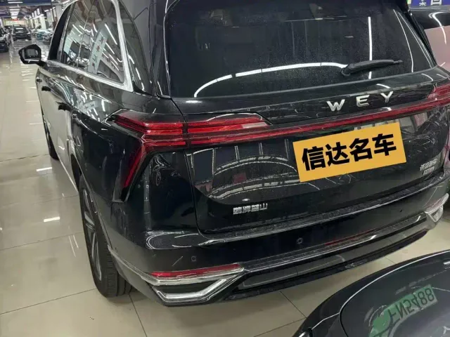 Wey Lanshan — Фото автомобиля 7