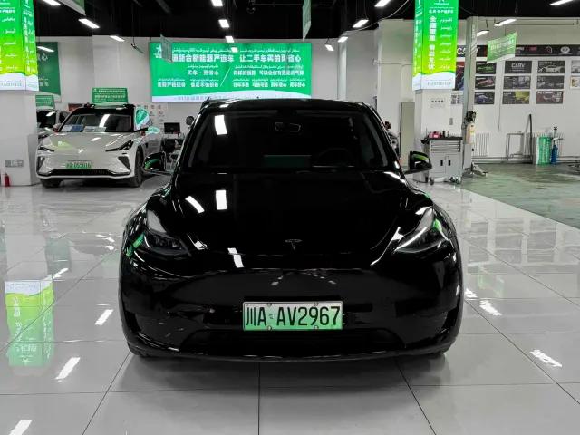 Tesla Model Y — Фото автомобиля 2