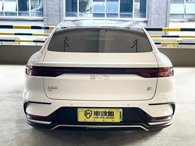 BYD Han — Фото автомобиля 5