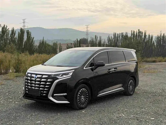 Фотография автомобиля — Denza D9