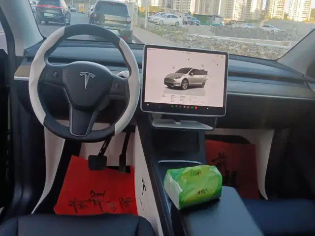 Tesla Model Y — Фото автомобиля 12