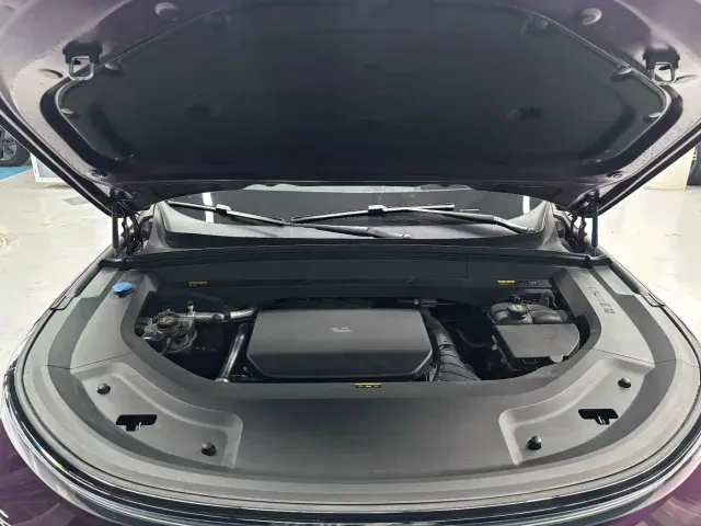 Li Auto L9 — Фото автомобиля 23