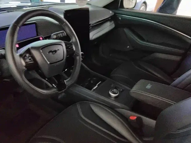 Ford Mustang Mach-E — Фото автомобиля 12