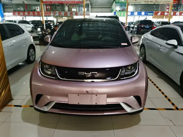 BYD Dolphin — Фото автомобиля 2