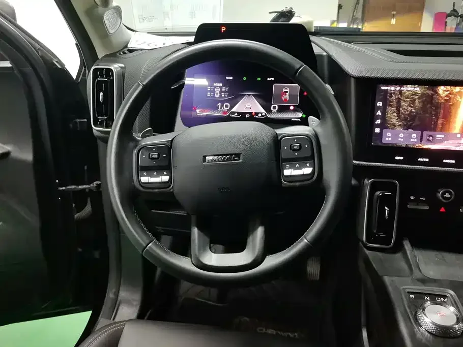Haval Haval Big Dog 2024 2.0T DCT Chinese Rural Dog Edition — Фото автомобиля 15