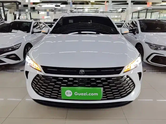 BYD Qin PLUS — Фото автомобиля 2