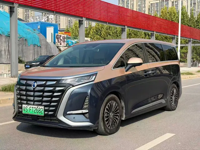 Denza D9 — Фото автомобиля 3