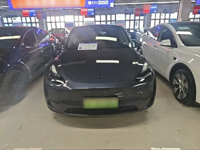 Tesla Model Y — Фото автомобиля 2