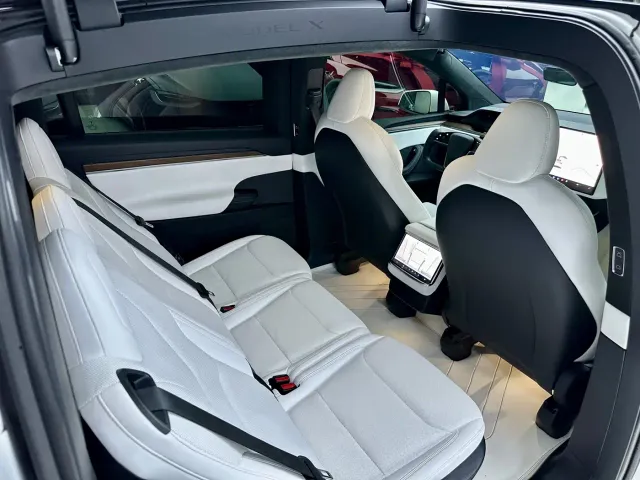 Tesla Model X — Фото автомобиля 13