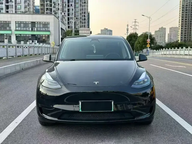 Tesla Model Y — Фото автомобиля 2