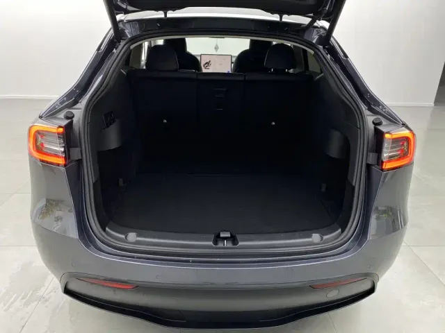 Tesla Model Y — Фото автомобиля 3