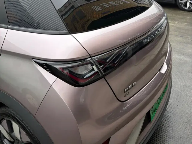 BYD Dolphin 2021 401km Knight Edition — Фото автомобиля 11