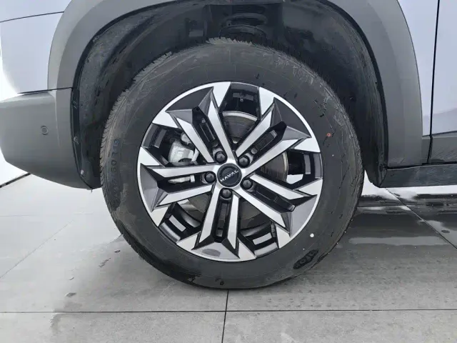 Haval Big Dog — Фото автомобиля 17