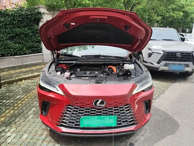 Lexus RX — Фото автомобиля 19
