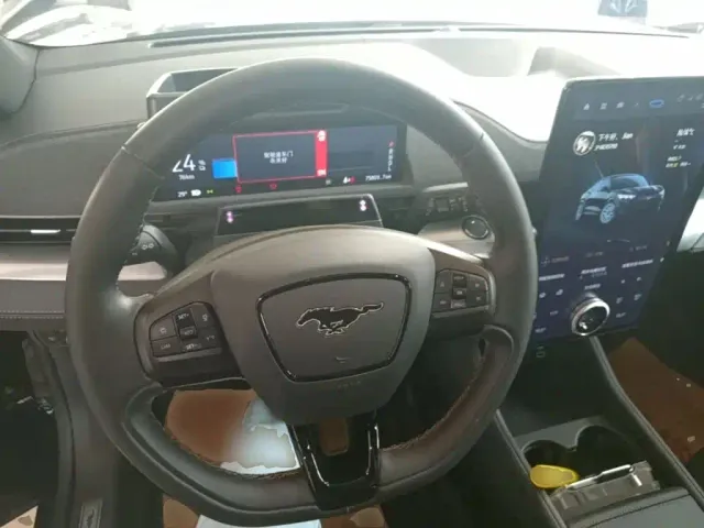 Ford Mustang Mach-E — Фото автомобиля 10