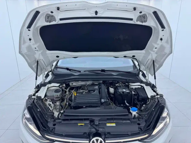 Volkswagen Lamando — Фото автомобиля 16
