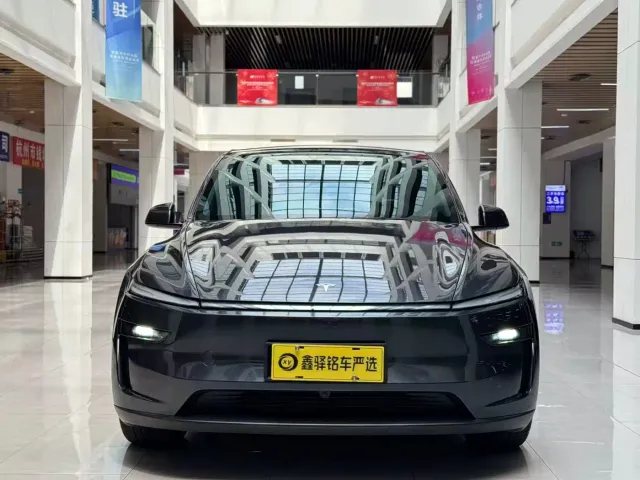 Tesla Model Y — Фото автомобиля 2