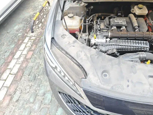 BYD Qin PLUS — Фото автомобиля 15