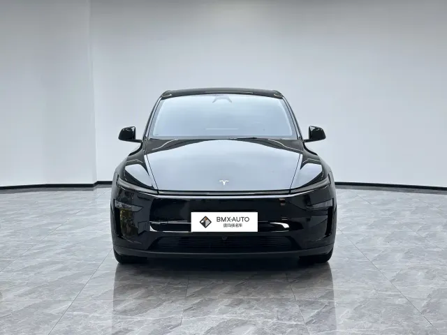 Tesla Model Y — Фото автомобиля 4