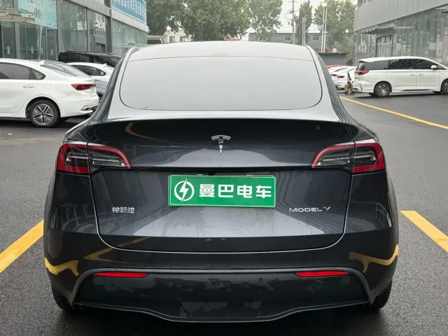Tesla Model Y — Фото автомобиля 6