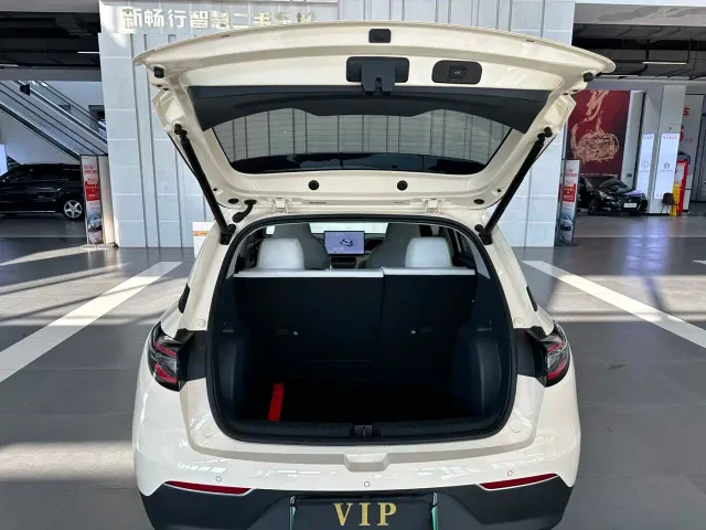 Geely Starry Wish — Фото автомобиля 16