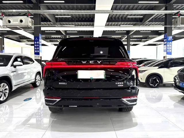 Wey Lanshan — Фото автомобиля 8